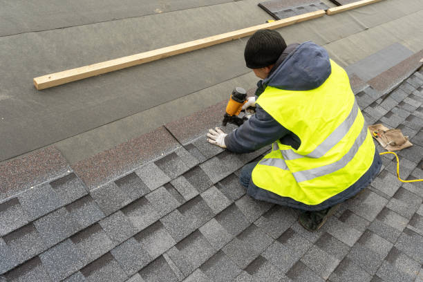 Best Roof Gutter Cleaning  in White Pine, TN