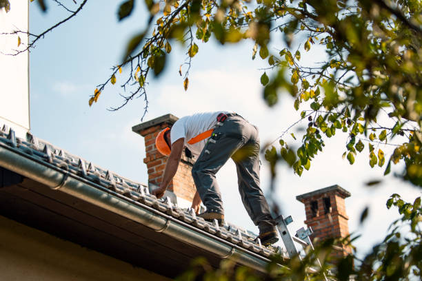Best Commercial Roof Installation  in White Pine, TN