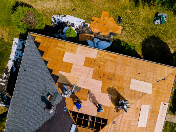 Best Flat Roof Repair Services  in White Pine, TN