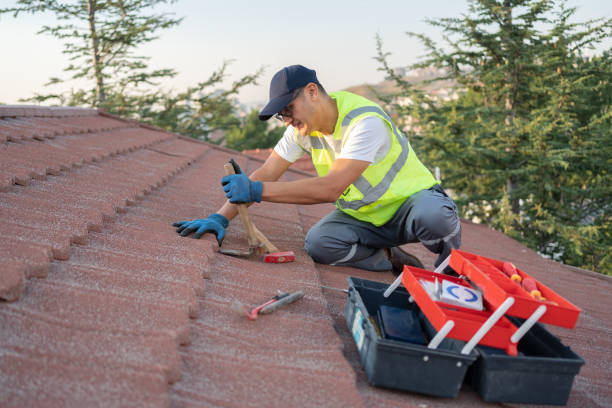 Best Roof Leak Repair  in White Pine, TN