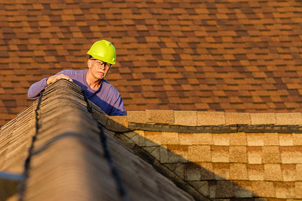 Roof Gutter Cleaning in White Pine, TN