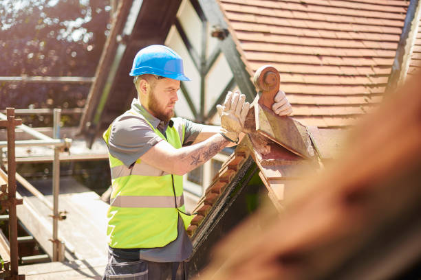 Best Roof Gutter Cleaning  in White Pine, TN